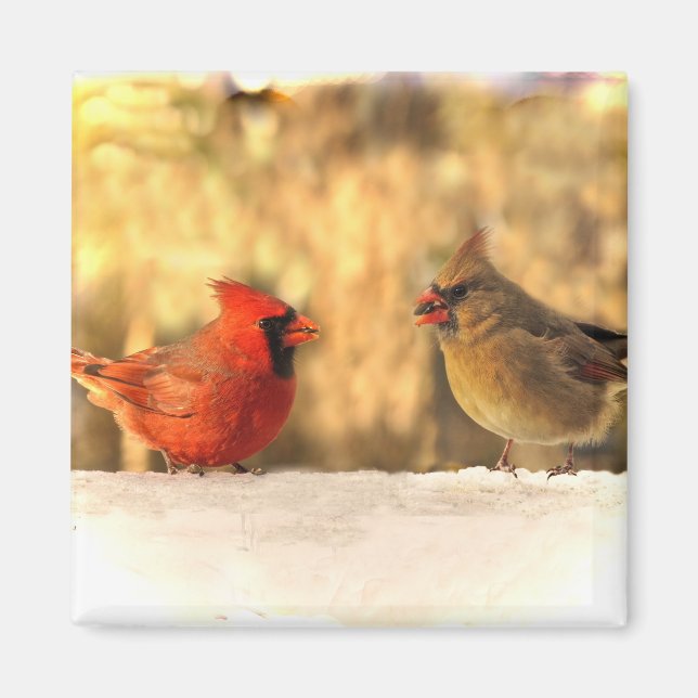 Aimant Oiseaux cardinaux dans l'aimant d'automne (Devant)