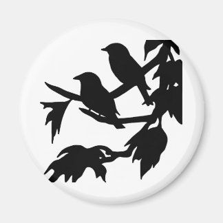 Aimant oiseaux chanteurs