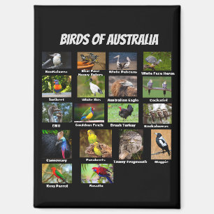 Aimant Oiseaux d'Australie