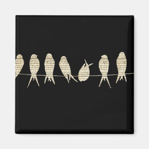 Aimant Oiseaux de musique