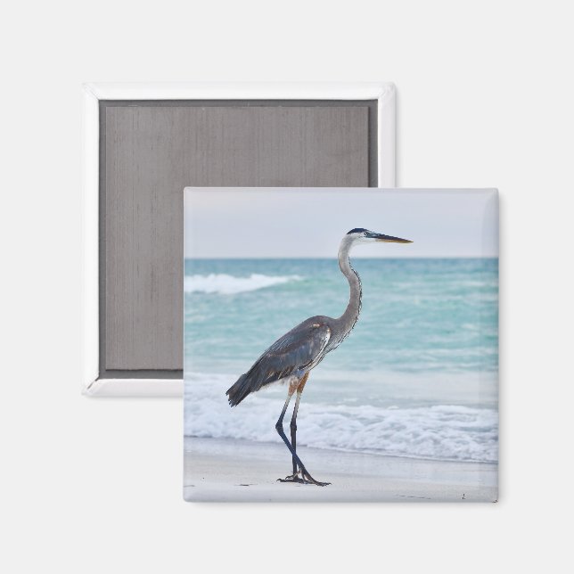 Aimant oiseaux de plage de Floride (Recto/Verso)