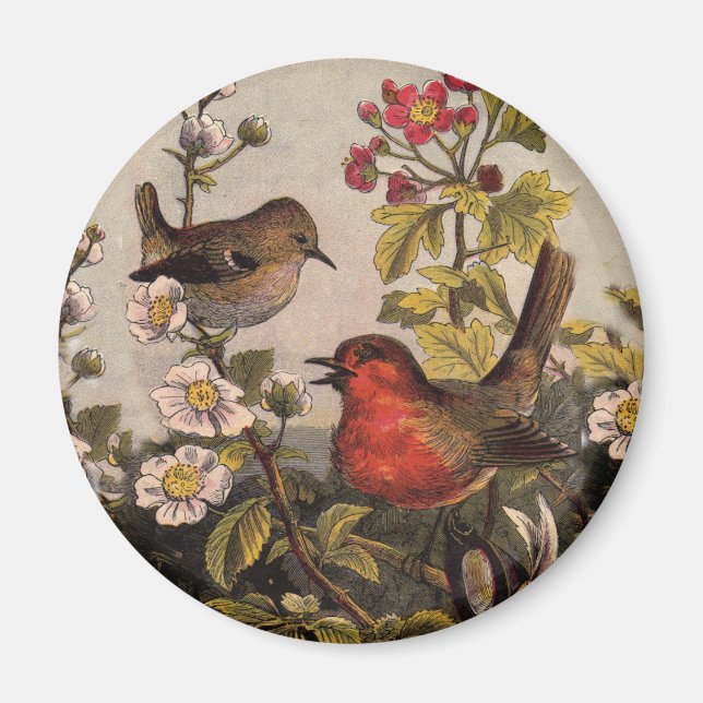 Aimant Oiseaux de printemps Robin Oiseaux rouges (Devant)