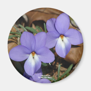 Aimant Oiseaux fleur sauvage-Pied Violet III Cadeaux et v