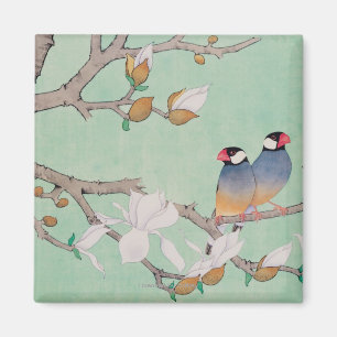 Aimant Oiseaux jumeaux dans les branches