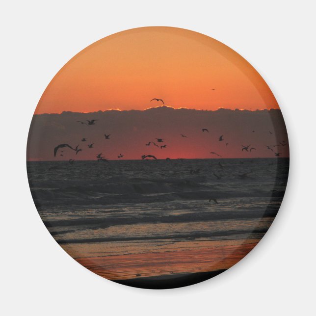 Aimant Oiseaux survolant le coucher du soleil sur l'océan (Devant)