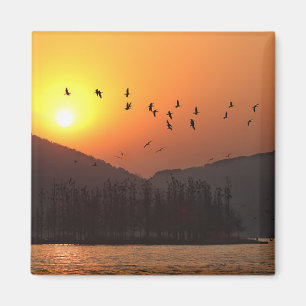 Aimant Oiseaux volant dans le ciel du coucher du soleil s