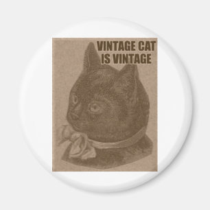 Aimant Olde LOLcat