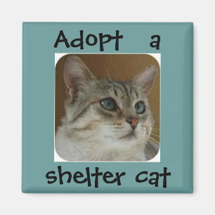 Aimant Ole Blue Eyes