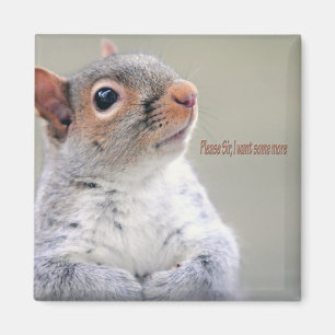 Aimant Oliver Twist Squirrel