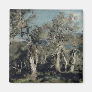 Aimant Olives, Corfou, 1912