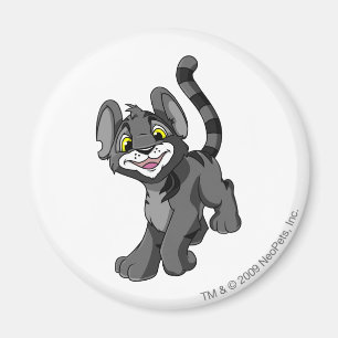Aimant Ombre de Kougra