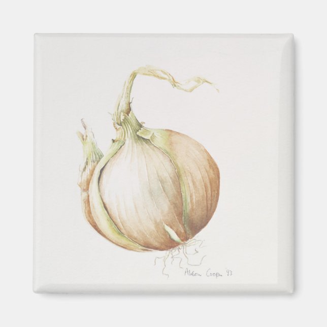 Aimant Onion Study 1993 (Devant)