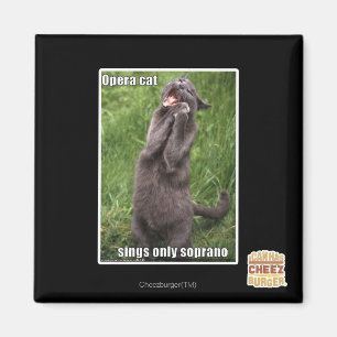 Aimant Opera Cat