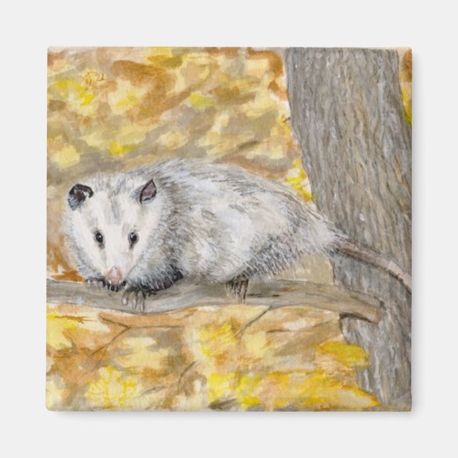 Aimant Opossum (Devant)