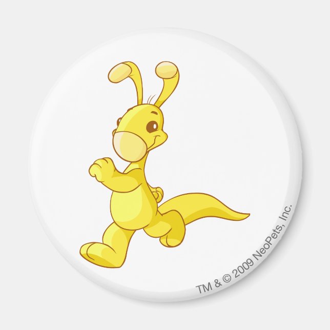 Aimant Or Blumaroo (Devant)