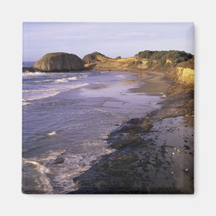 Aimant OR, Côte de l'Oregon, Newport, rivage à Seal