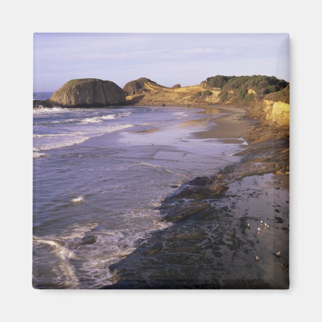 Aimant OR, Côte de l'Oregon, Newport, rivage à Seal (Devant)