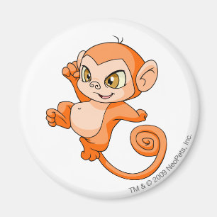 Aimant Orange de Mynci