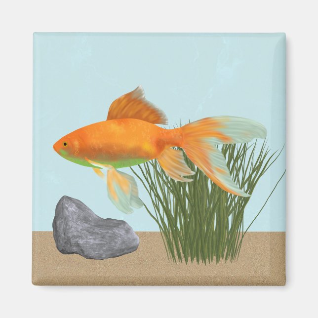 Aimant Orange Goldfish Nature Aquarium (Devant)