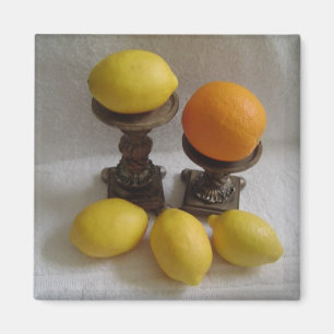 Aimant Oranges et citrons