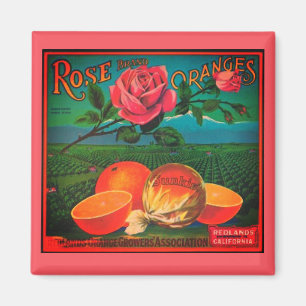 Aimant Oranges roses étiquette de fruits vintages