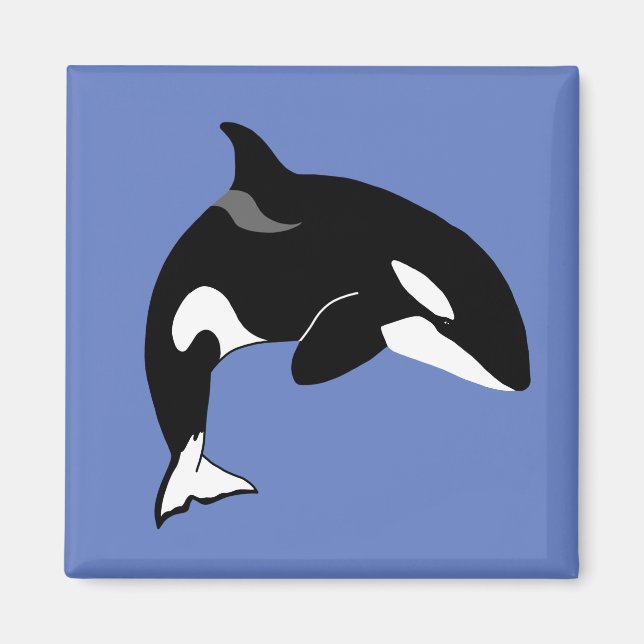 Aimant Orca Killer Whale (Devant)