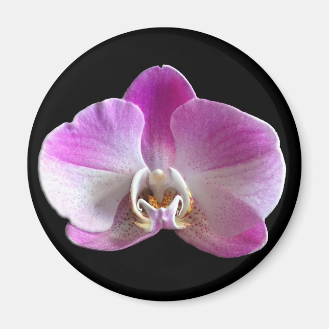 Aimant Orchid de Purple et White (Devant)
