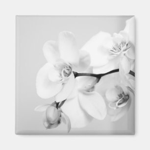 Aimant orchidée