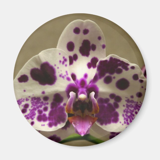 Aimant orchidée (Devant)