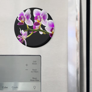 Aimant Orchidée blanche et violette