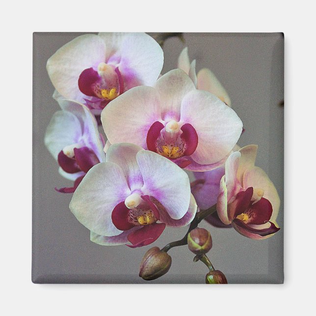 Aimant Orchidée miniature (Devant)