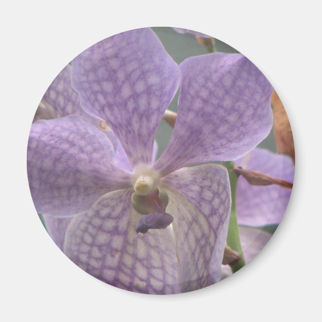 Aimant Orchidée violette (Devant)