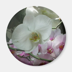 Aimant Orchidées blanches et violettes