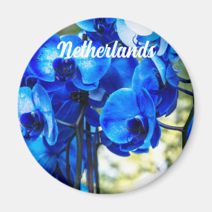Aimant Orchidées bleues