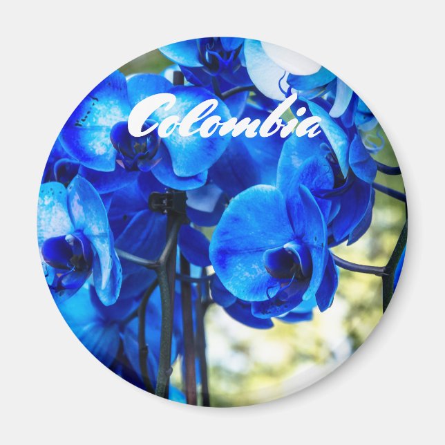 Aimant Orchidées bleues (Devant)