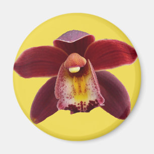 Aimant Orchidées de Maroon I Beau Floral Rouge