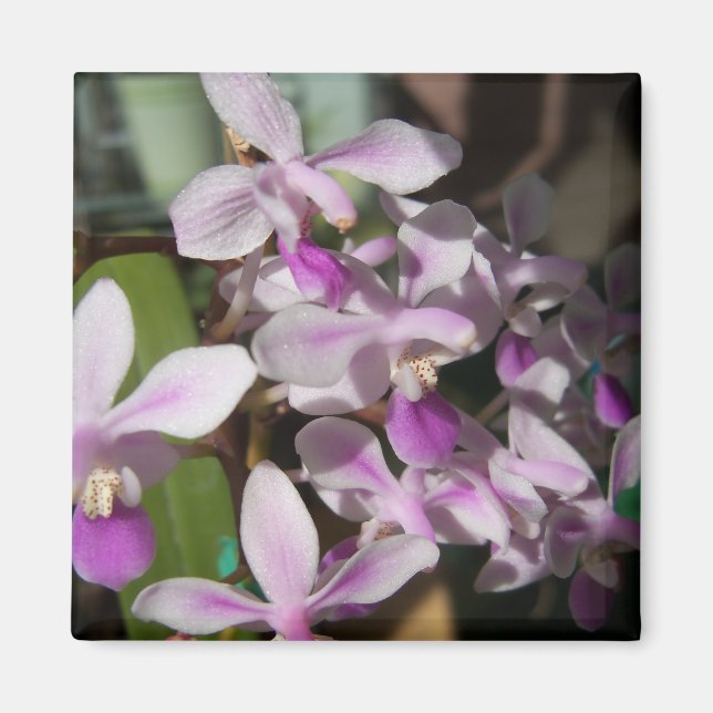Aimant orchidées miniatures (Devant)