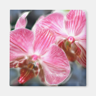 Aimant Orchidées Phalaenopsis Pink