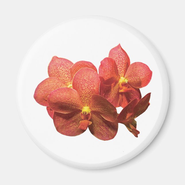 Aimant Orchidées tachetées (Devant)