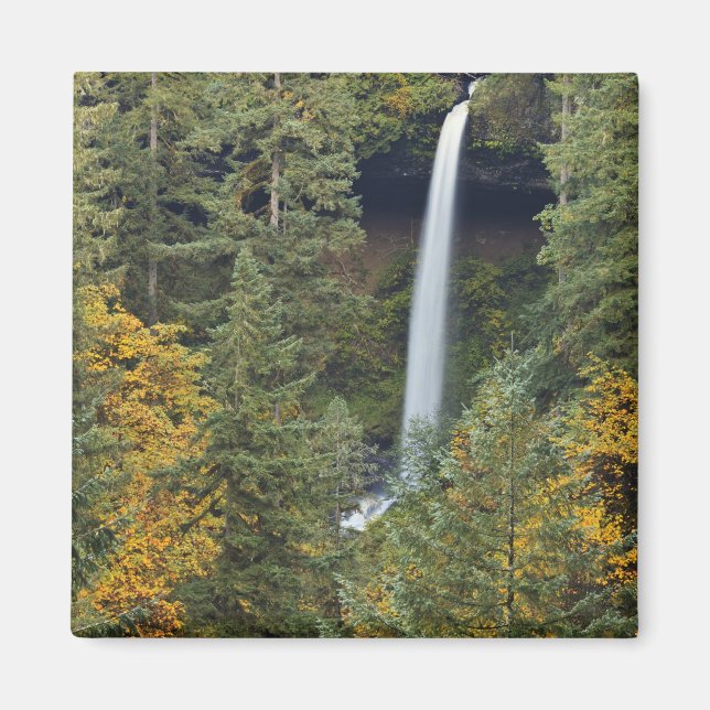 Aimant Oregon, Silver Falls State Park, North Falls (Devant)