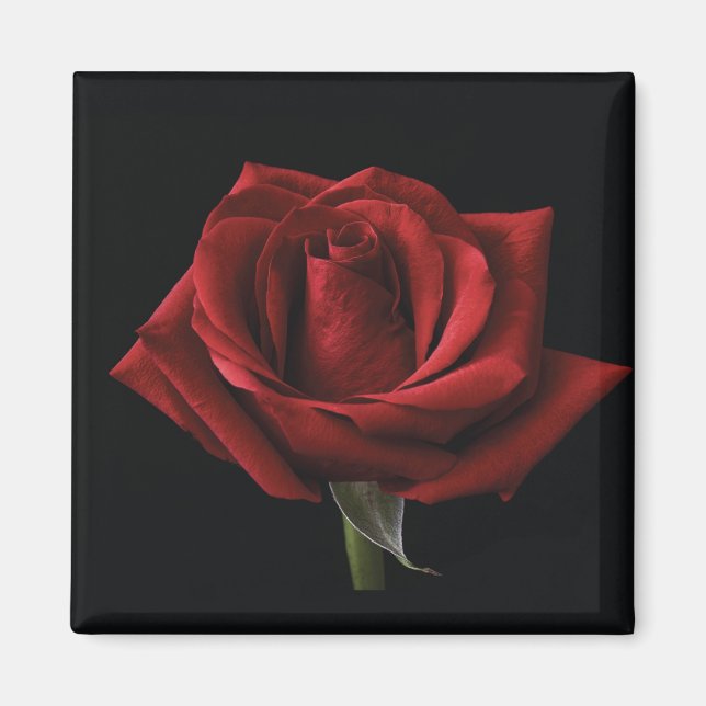 Aimant oreiller rouge (Devant)