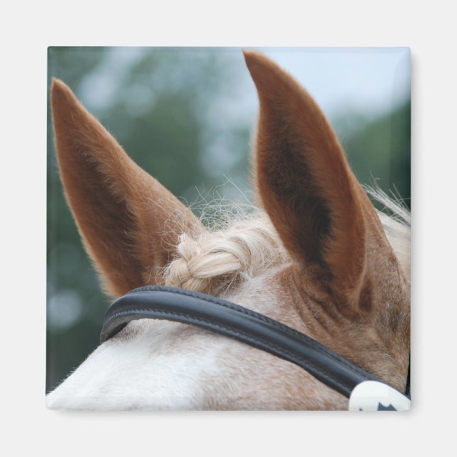 Aimant oreilles de cheval (Devant)