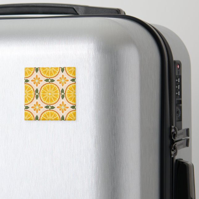 Aimant oriental (In Situ (Bagages))