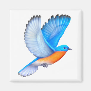 Aimant oriental volant d'oiseau bleu