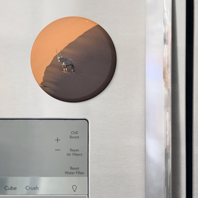 Aimant Oryx à la limite, Namibie (In situ (réfrigérateur))