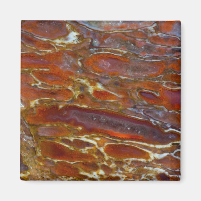 Aimant Os Petrifié Dinosaure (Devant)