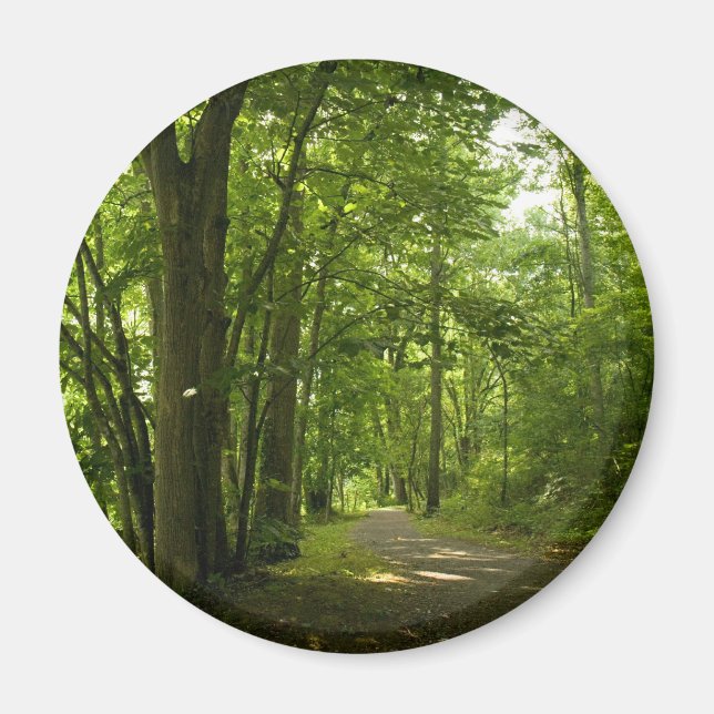 Aimant Osceloa Island Weir Dam Bristol Tennessee (Devant)