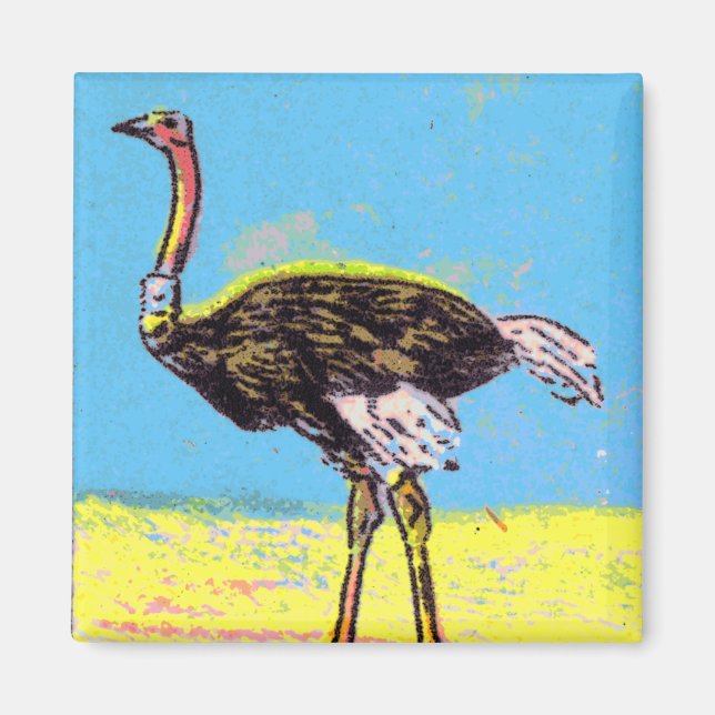 Aimant Ostrich (Devant)
