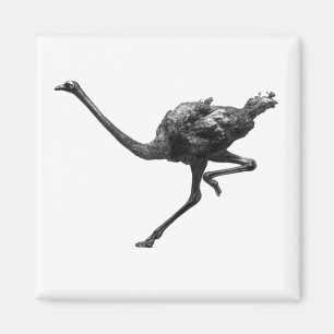 Aimant Ostrich Running Cool Athlète Art animal