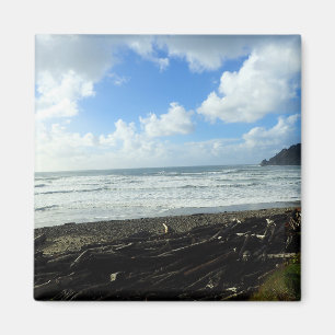 Aimant Oswald West State Park, Oregon Coast